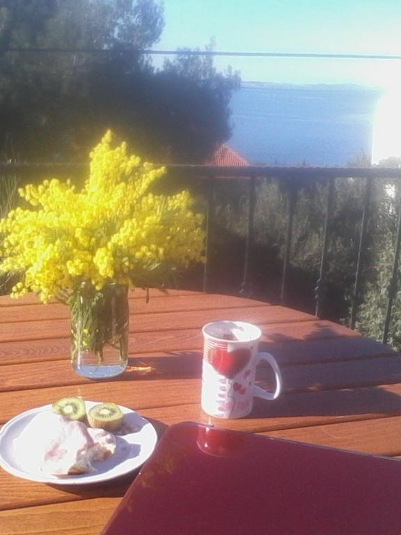 Apartment Sanja Primošten Zewnętrze zdjęcie